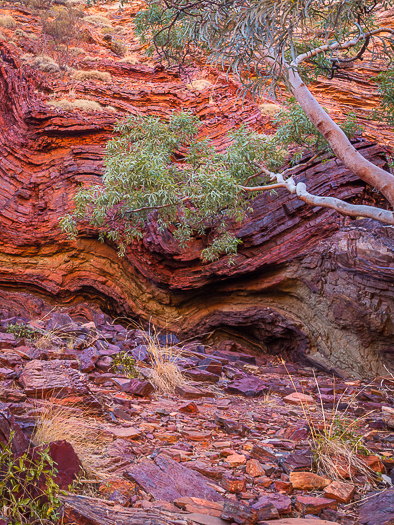 CA - L 75008 Hamersley Gorge Pilbara