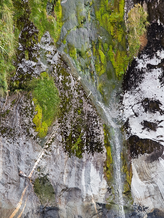 SE - L 7281 Milford Sound NZ