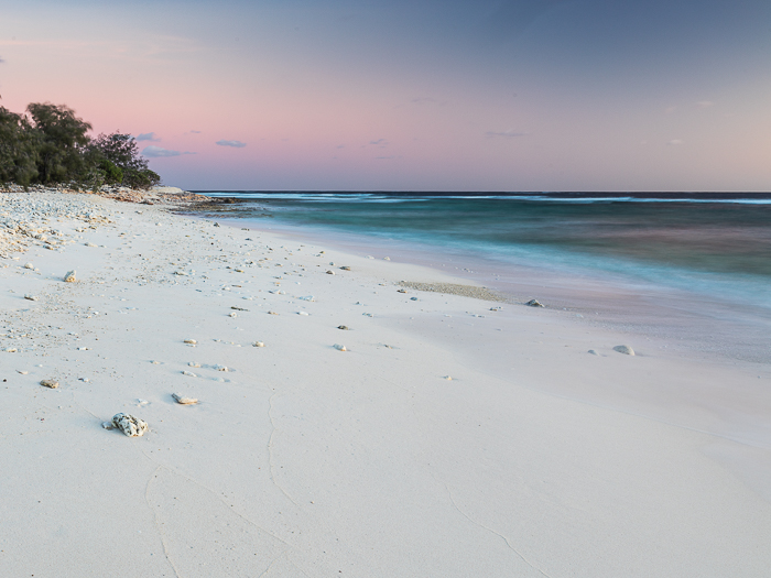 CA - L 55062 Lady Elliot Island