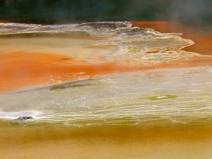 SE - L 8047 Wai-O-Tapu Springs NZ