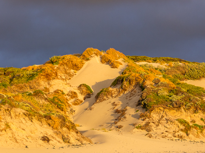 CA - L 49672 King Island