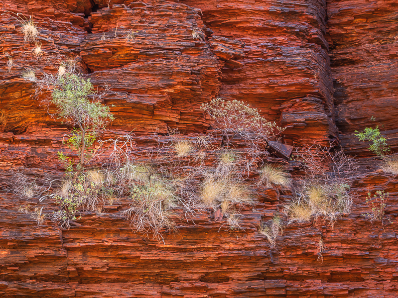 SE - L 75757 Kalamina Gorge Pilbara