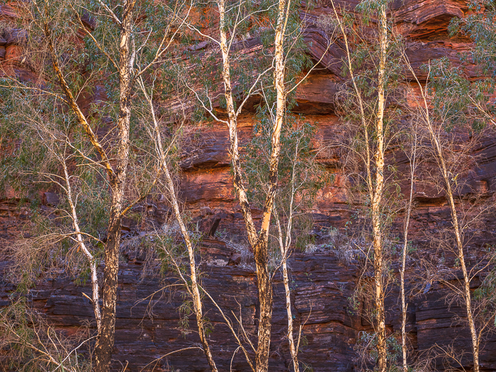 CA -  L 78051 Dales Gorge Pilbara